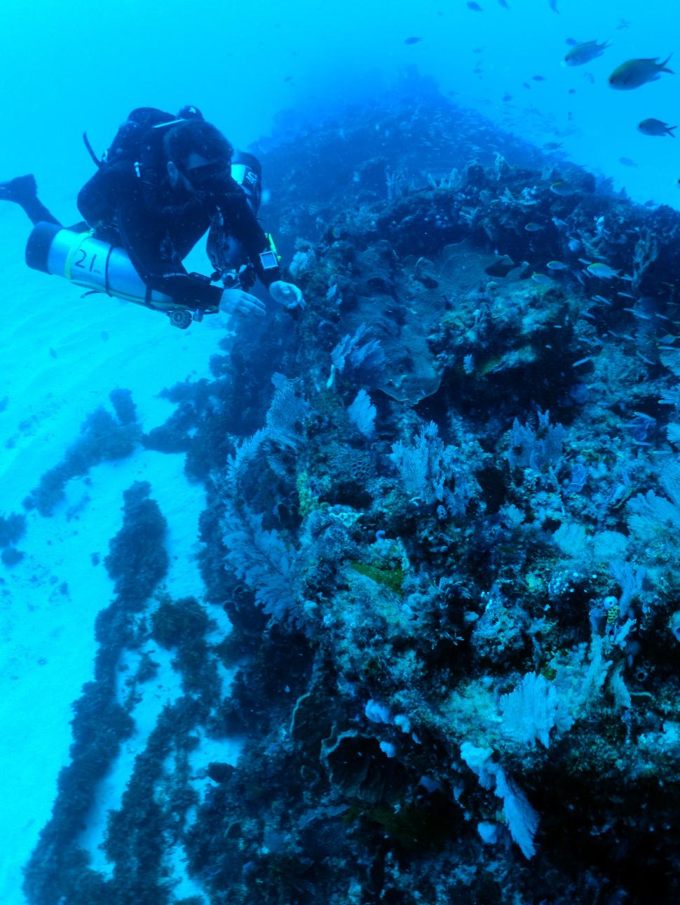 A technical diver from WreckSploration team investigates a wreck site in the Rottnest Deepwater Graveyard off the Western Australian coast.