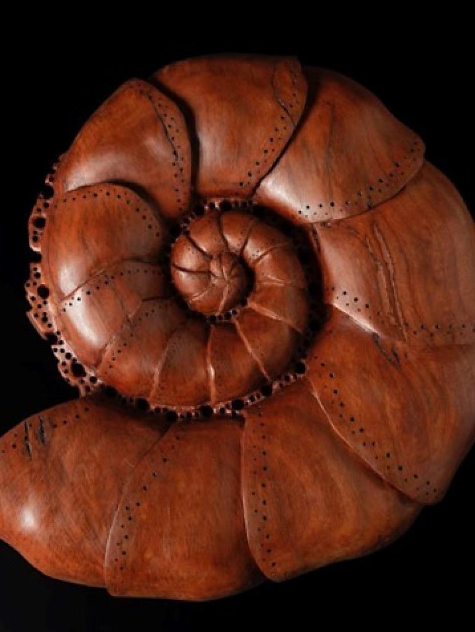 Jarrah sculpture in the shape of a shell