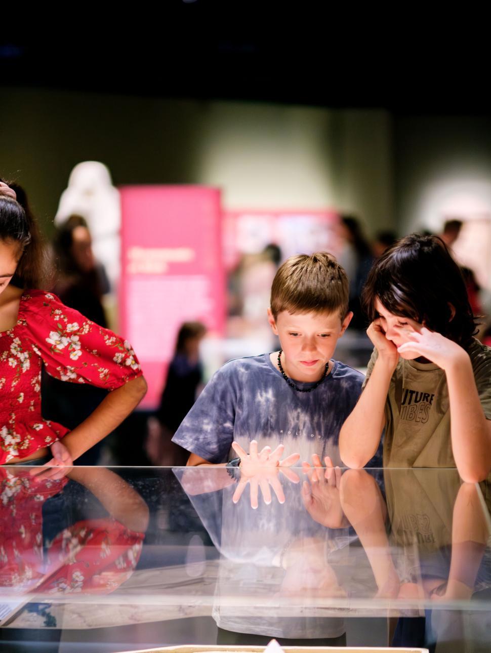 Students looking at objects in glass display cabinet.
