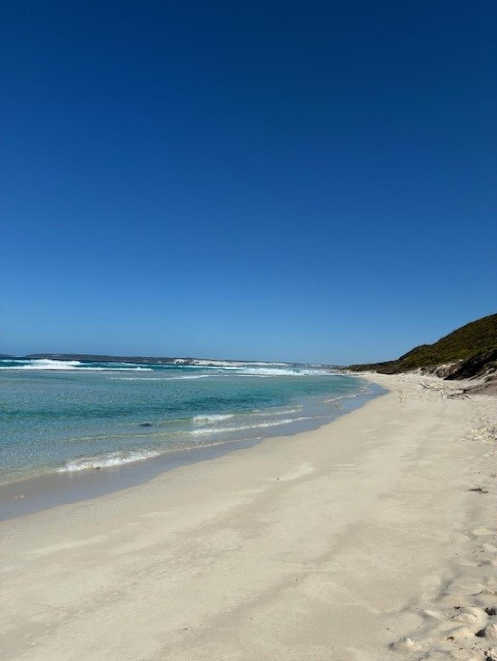 a beach scene