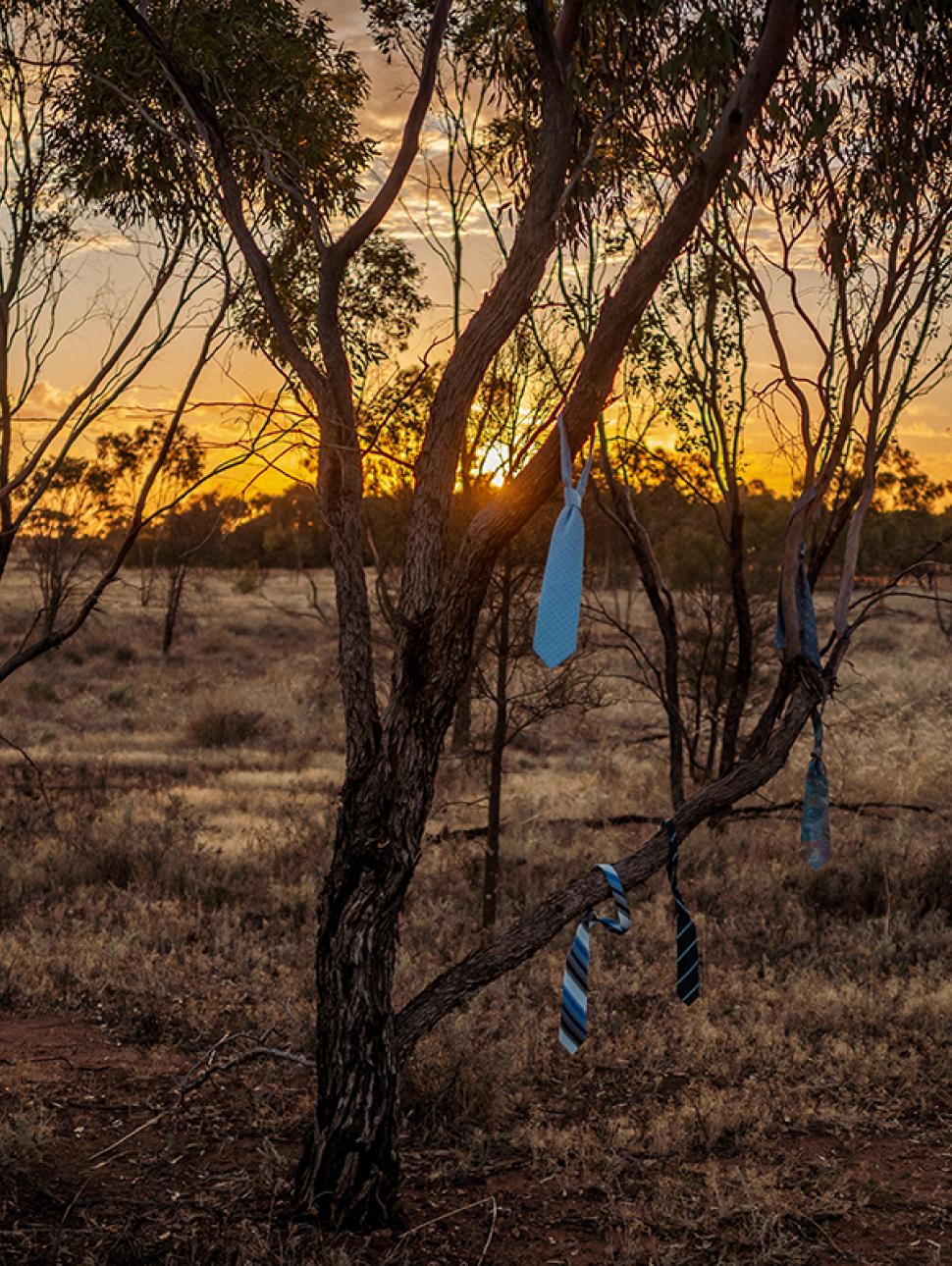 A necktie hanging from a tree