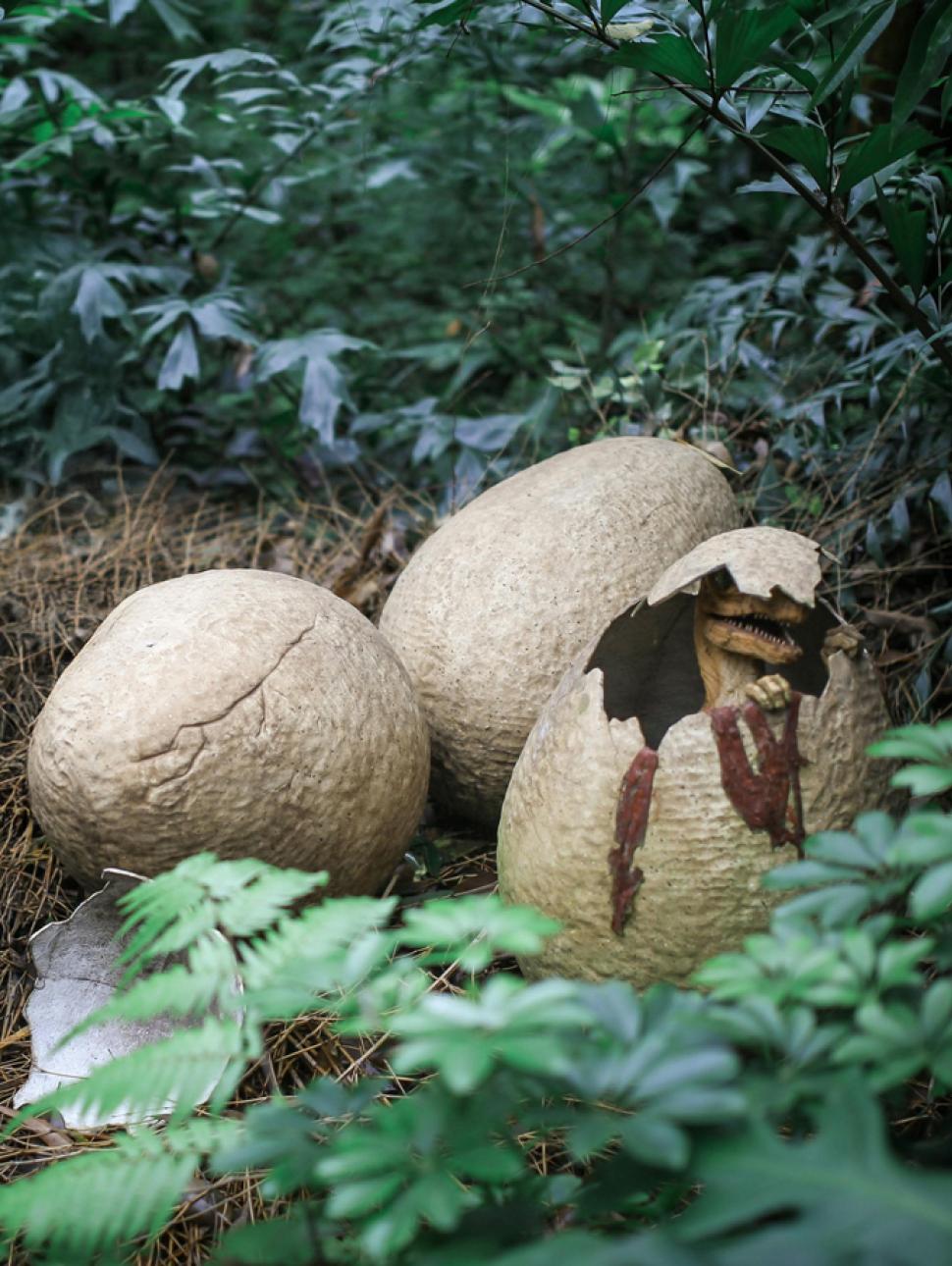 a collection of dinosaur eggs hatching in the forest