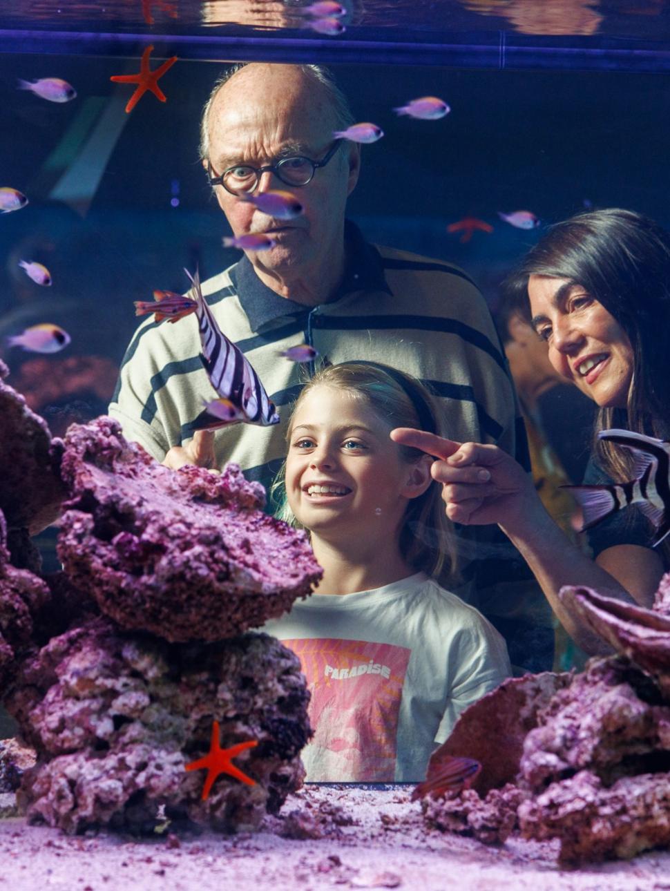 two adults and one child look in a large fish tank with fish swimming