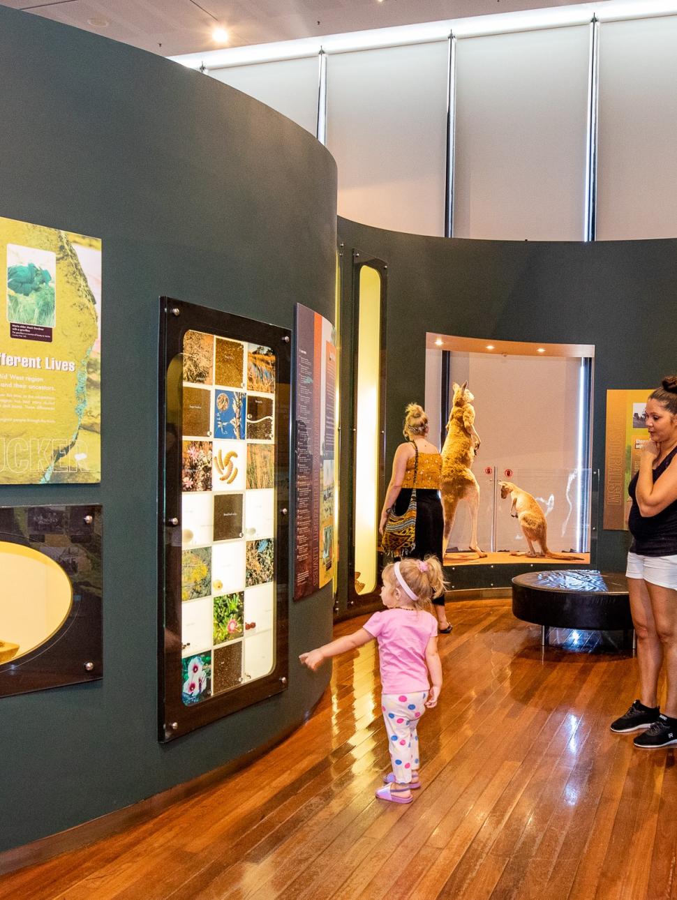 young child and two adults looking through a museum gallery