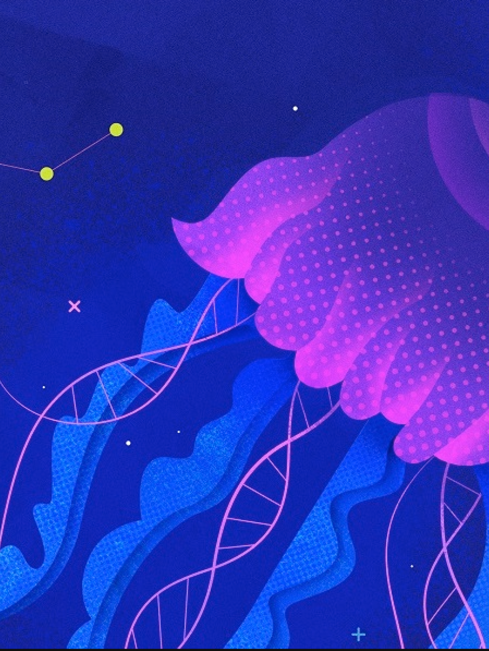 Jellyfish, DNA strands and the night sky feature in this graphic illustration for Quantum Words Fremantle program for Totally Lit 2025 festival