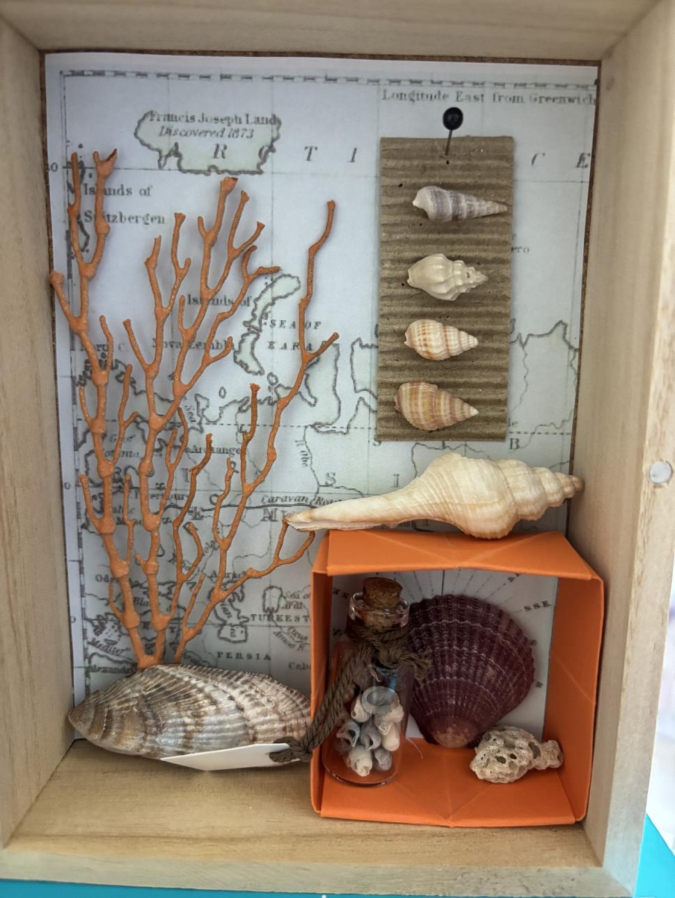 a sea themed box of found ocean objects