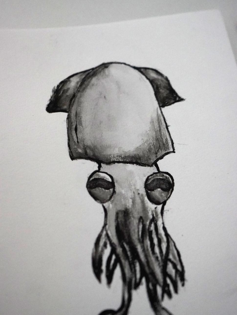 Black and white image of a squid