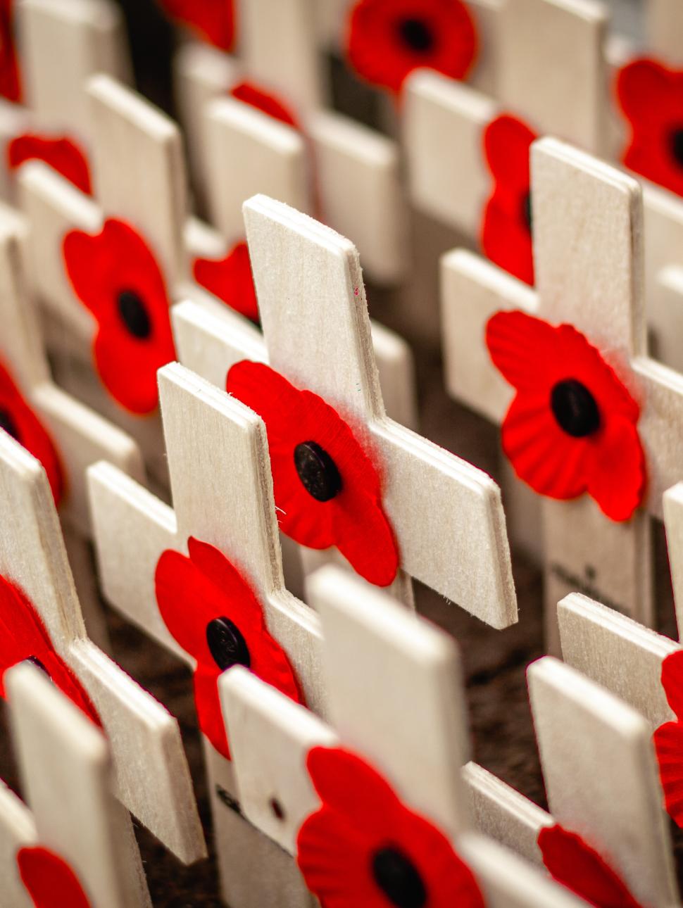 Close up of a sea of wooden crosses bearing red and black poppies staked into soil