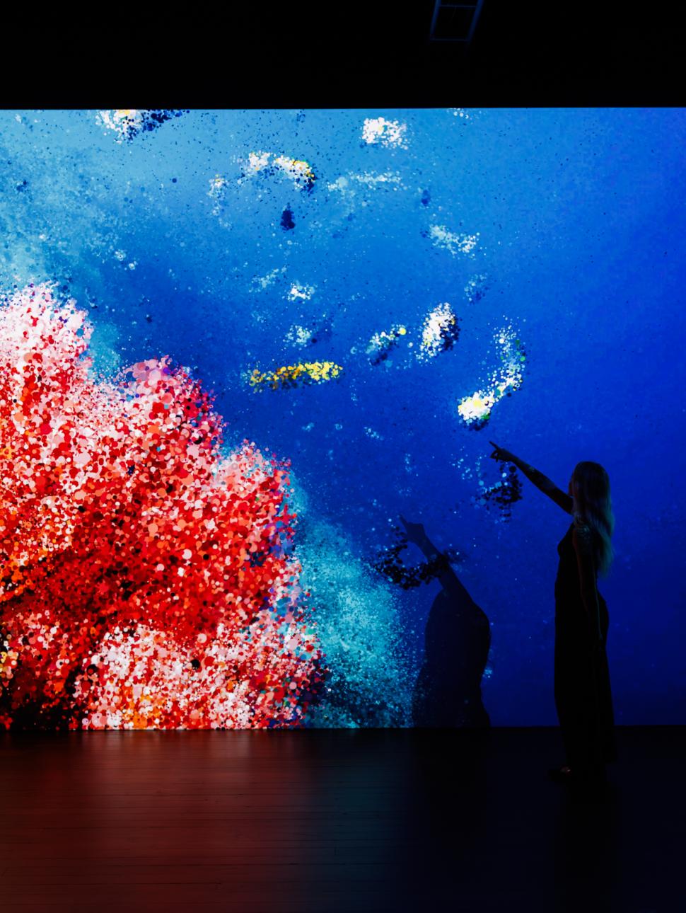 Seeing Echoes in the mind of the whale