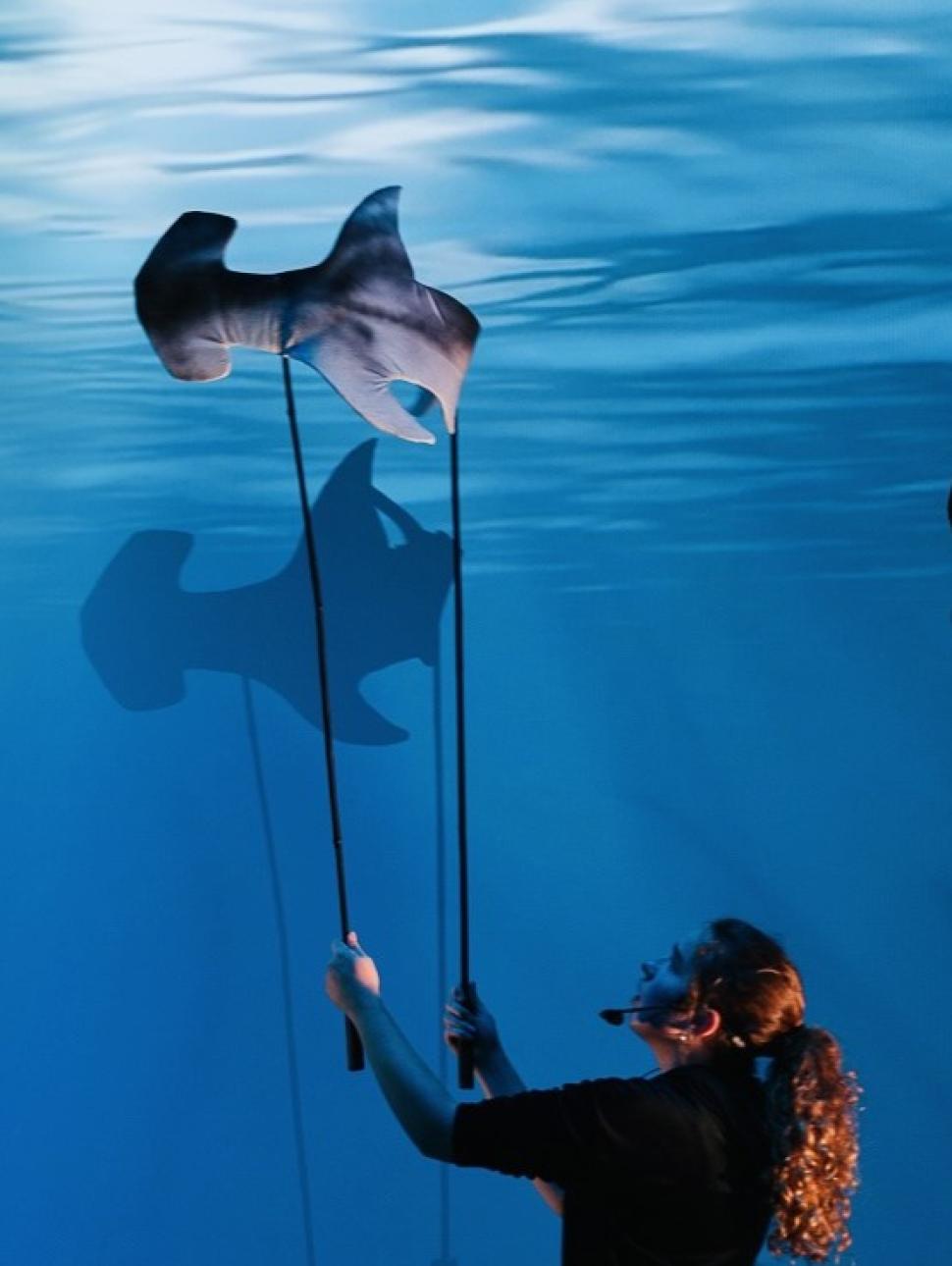 Hammerhead shark puppet being operated by a person holding the puppet above their head against an ocean backdrop