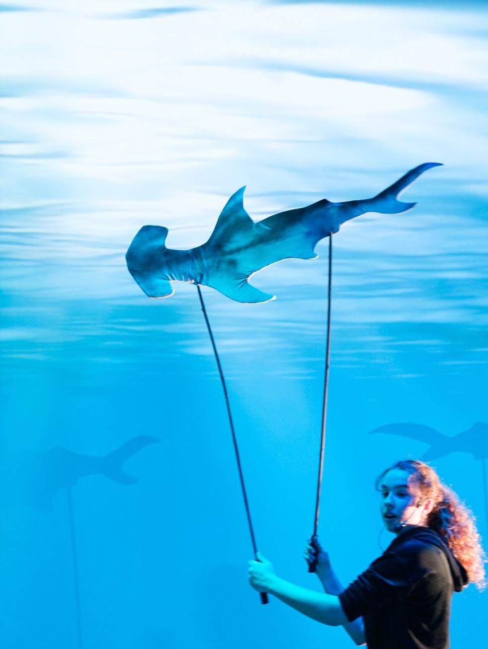 Hammerhead shark puppet being operated by a person holding the puppet above their head against an ocean backdrop