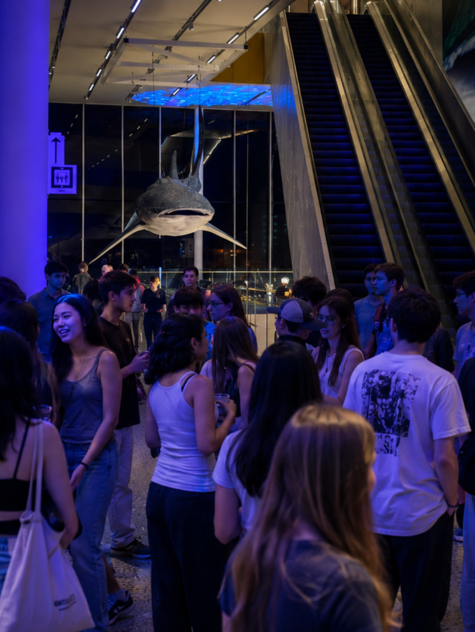 Teenagers at the museum with a whale shark in the background