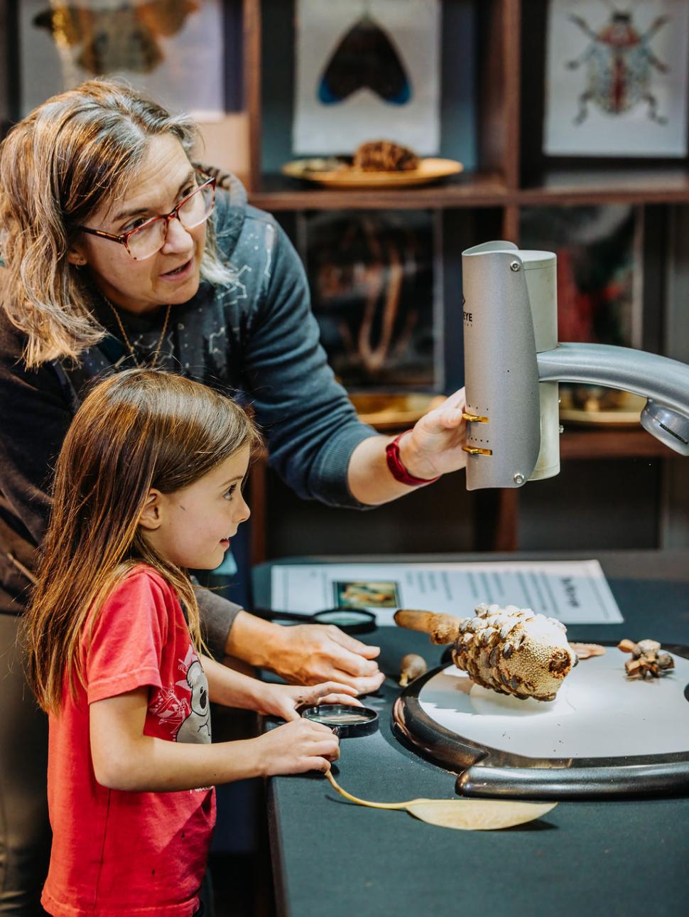 a parent and child use a microscope to look closely at some objects