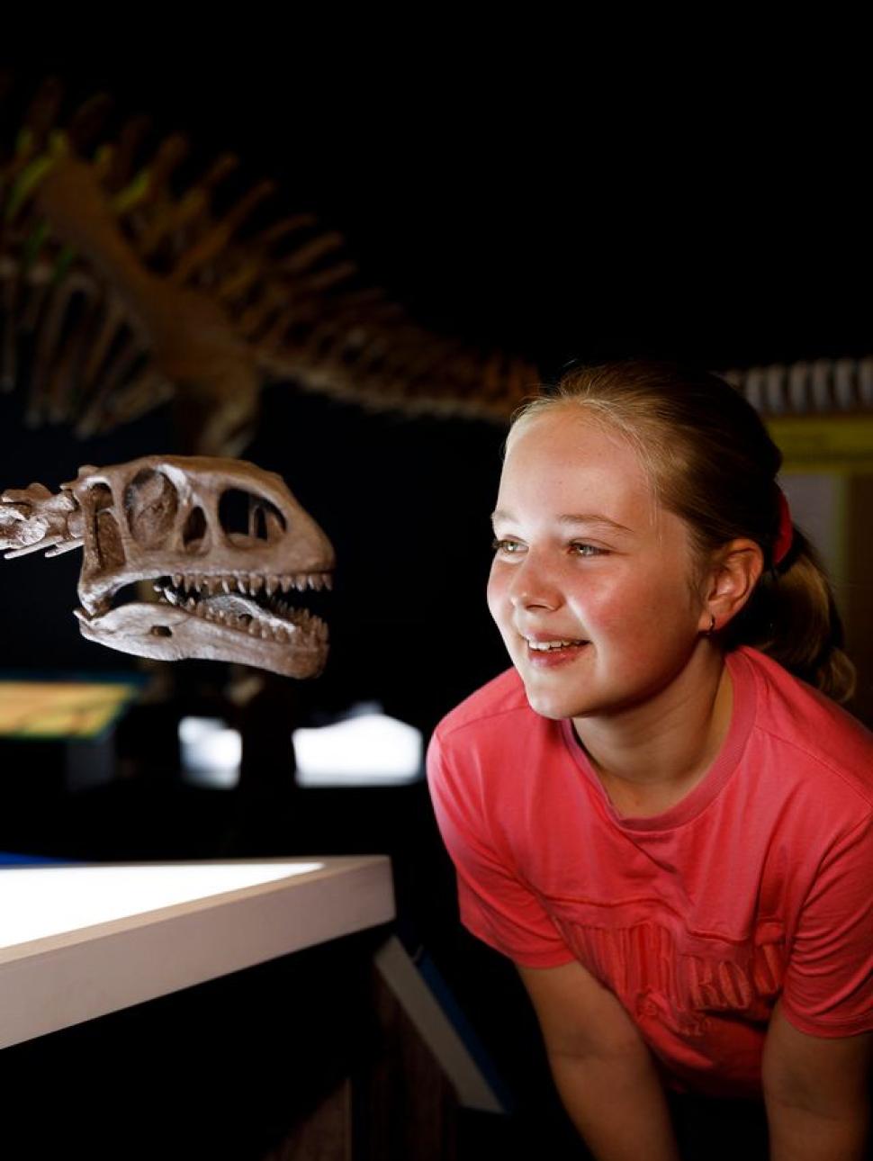 In the image, a young girl wearing a red t-shirt is eye to eye wit the skeletal head of a dinosaur