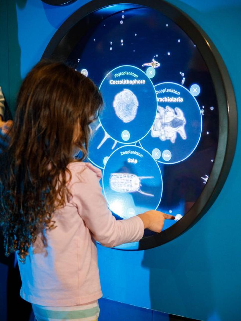 A small child is interacting with a digital museum display showing different types of plankton that can be found in the ocean.