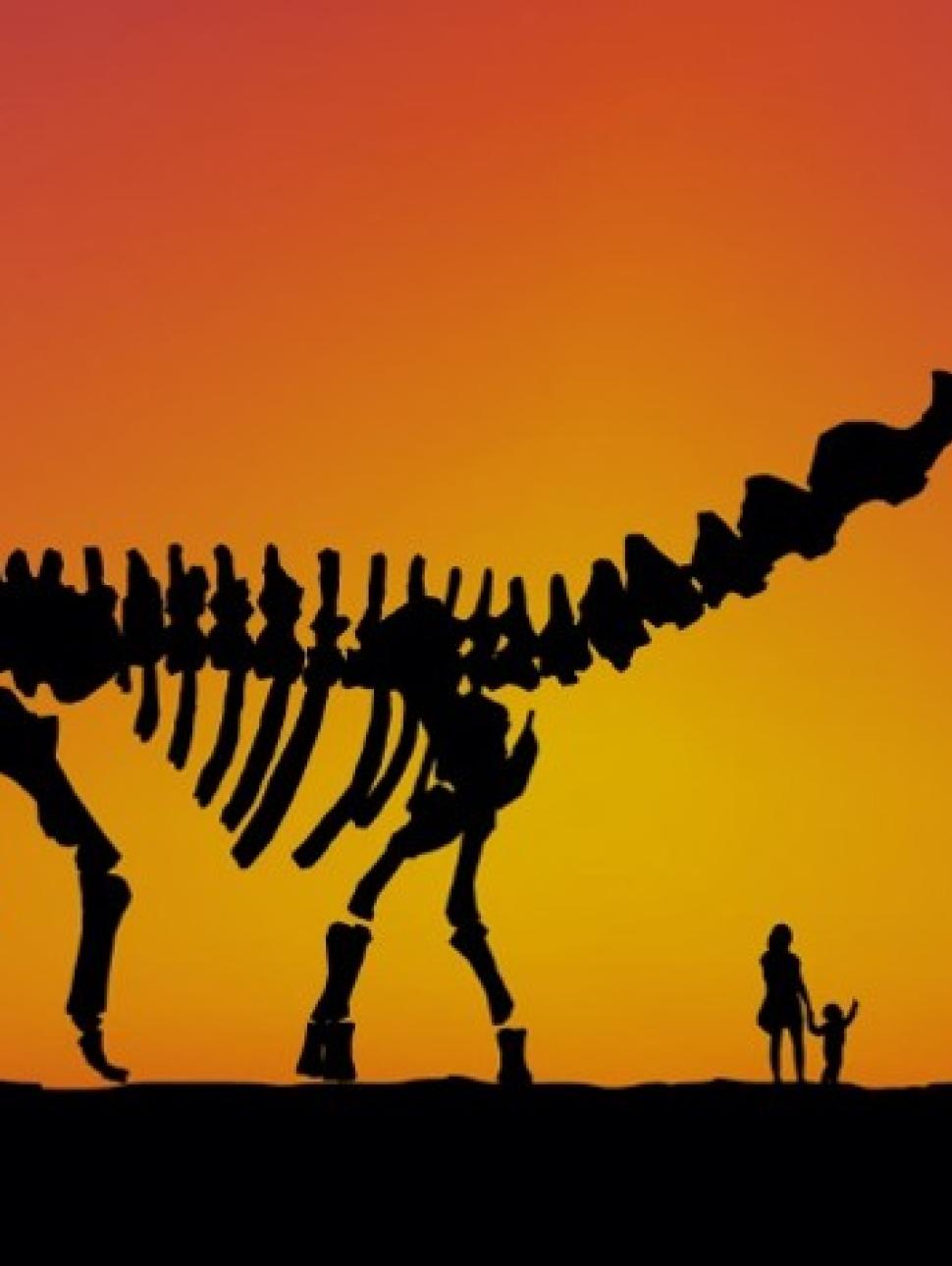 dinosaur graphic