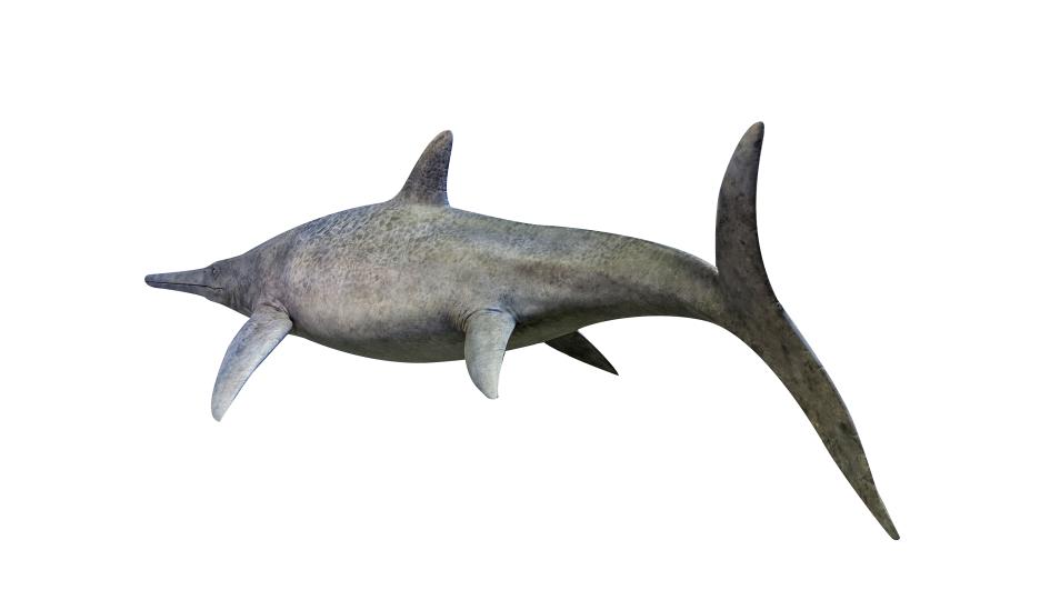 Model of icthyosaur