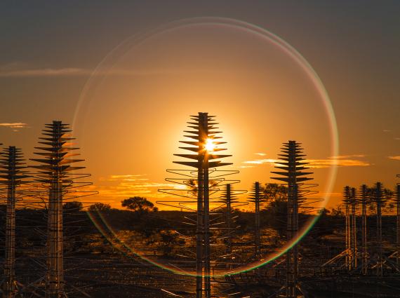 A field of radio telescope antennae silhouetted against the setting sun