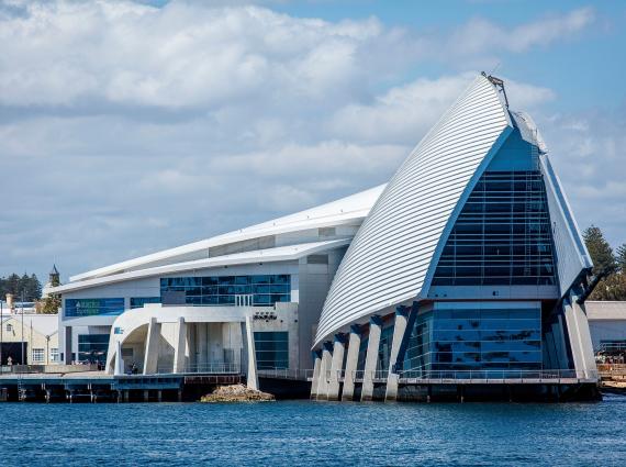 The WA Maritime Museum waterfront building with unique wave-like architecture, featuring large glass windows and a combination of flat and curved design elements.