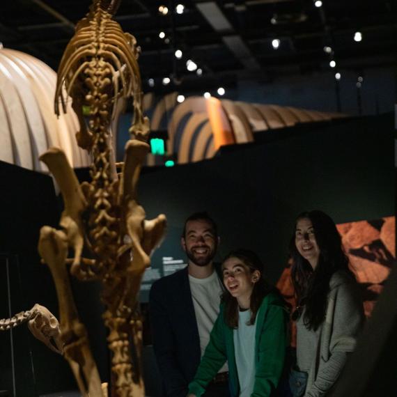 A family looking at a dinosaur skeleton in the Wold Life gallery