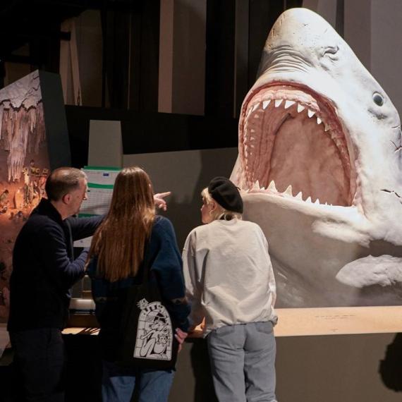 People discussing a megalodon shark head in the Wild Life gallery
