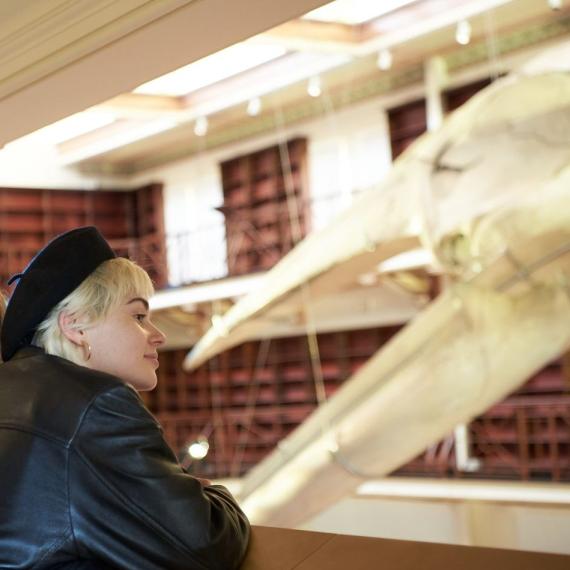 A person looking at the Museum's blue whale skeleton
