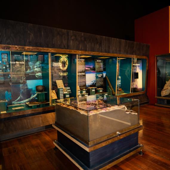 Objects on display in museum showcases