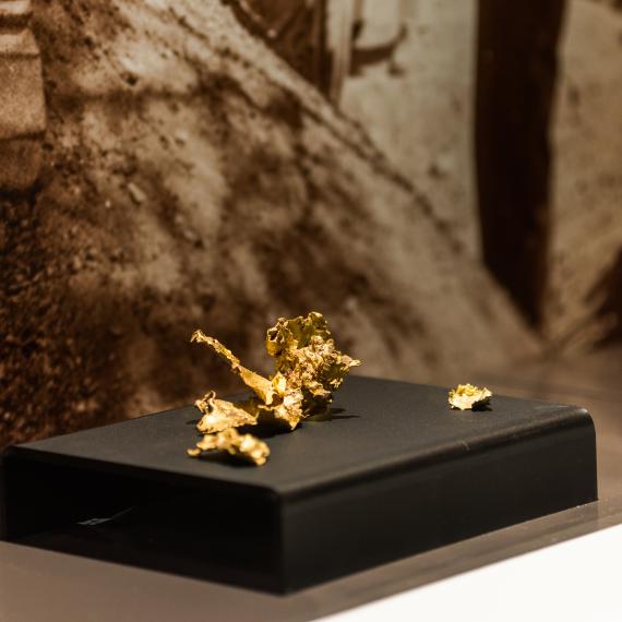 Pieces of gold arranged in a Museum showcase