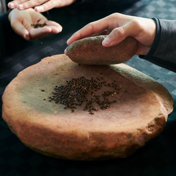 This image show some students using a grinding stone to grind seeds