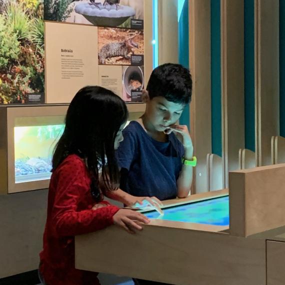 Children engaging with museum exhibit