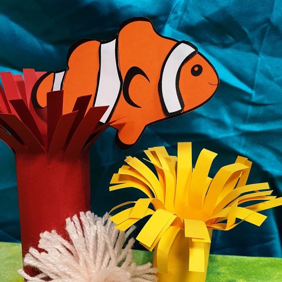 Cut out nemo fish display