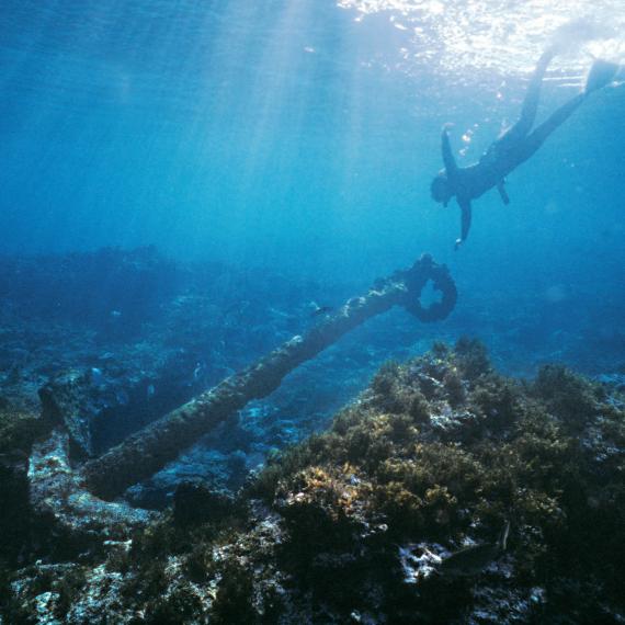 A diver swims down through deep blue water towards the anchor of a sunken ship