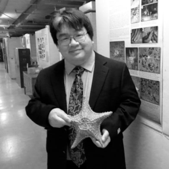 Person holding a sea star wearing a suit and smiling