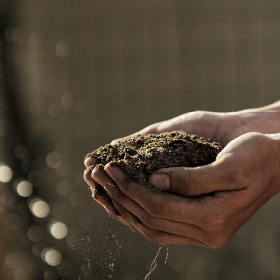 Two hands cupping some dark soil
