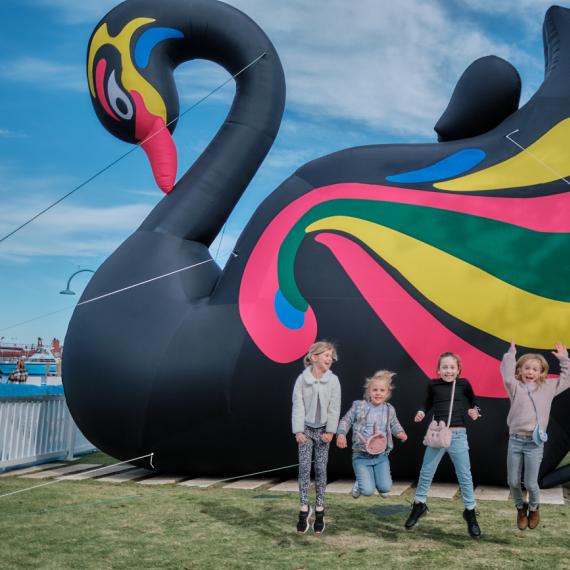 Large inflatable black swan picture with 4 children happily jumping in front of it