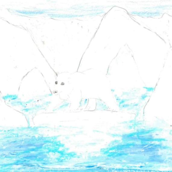 Polar bear