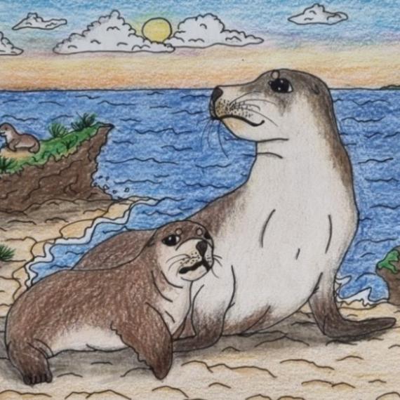 Coloured pencil drawing of a sea lion with a pup beside her