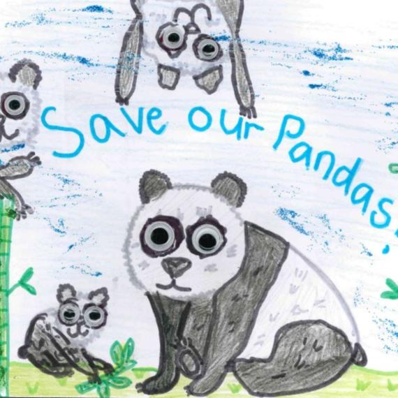 Drawings of pandas with the words save our pandas across the middle