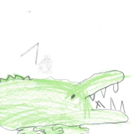Drawing of a crocodile