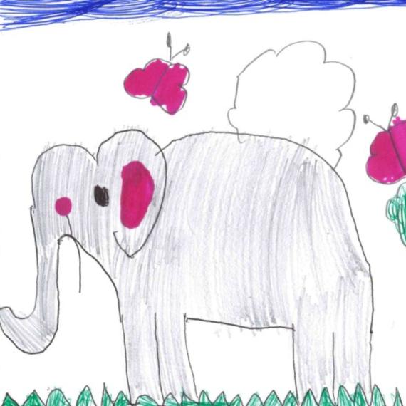 Elephant drawing