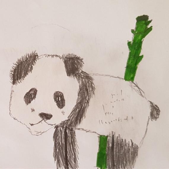 Drawing of a panda with bamboo