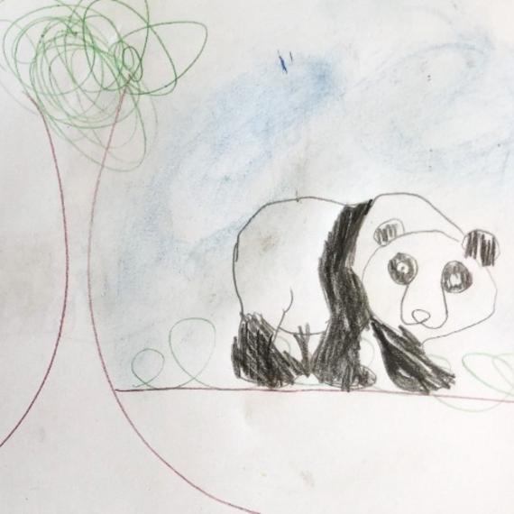 Drawing of a giant panda