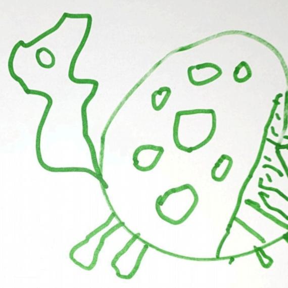 Swamp tortoise drawing in green