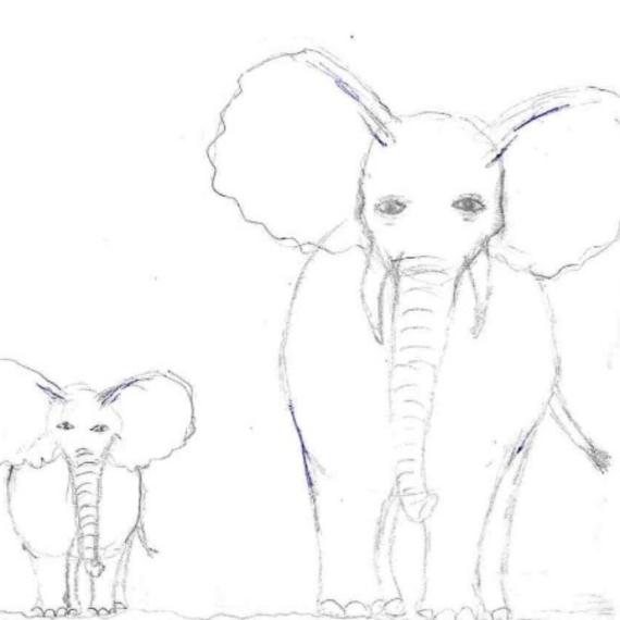 drawing of elephants