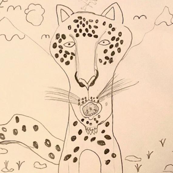 Snow Leopard drawing 