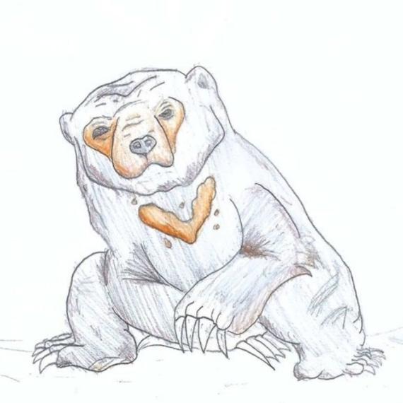 Sunbear drawing