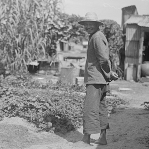 Black and white image of man standing next to a garden 