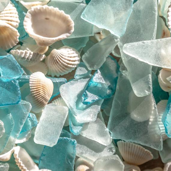 A collection of transparent blue and white sea glass fragments interspersed with small white cockle shells 