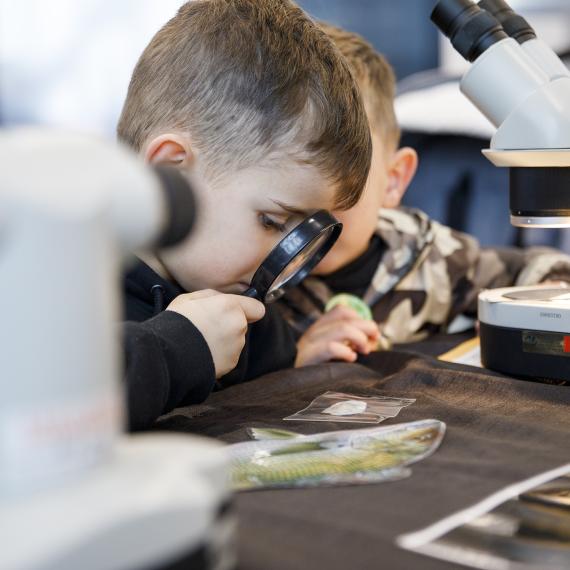 A child is looking through a magnifying glass onto a table with a cut out fish 