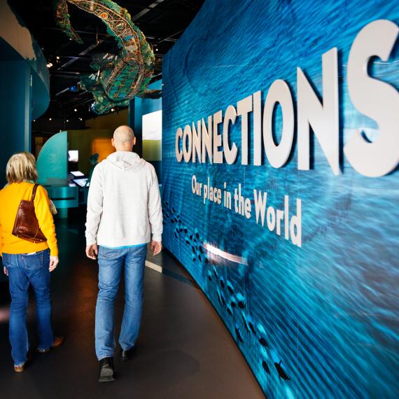  Two people walk through a museum exhibit with a large blue wall displaying "CONNECTIONS Our place in the World."